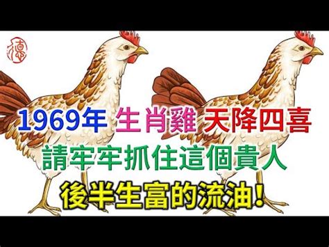 1969生肖雞|生肖雞：1969年是什麼命？